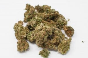 Scottsdale MMJ Exam